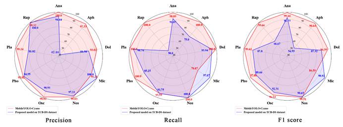 图表, 雷达图AI 生成的内容可能不正确。
